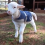Here's what's going viral right now: Monday