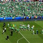 12 wonderful tributes to the boys in green (and their fans)