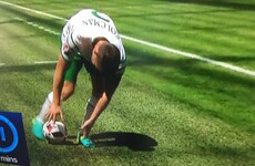 Seamus Coleman brought a bit of GAA to the France match, and everyone's delighted