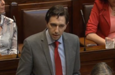 Simon Harris has apologised to Amanda Mellet in the Dáil
