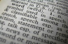 New words: the official* glossary of 2011