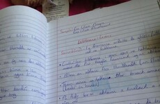 12 things you'll only know if you went to a Gaelscoil