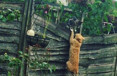 Here's what's going viral right now: Monday