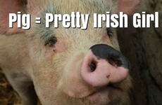 This was every Irish girl's favourite comeback growing up