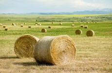 Man accused of setting fire to three hay barns in 'moment of insanity'