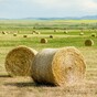 Man accused of setting fire to three hay barns in 'moment of insanity'