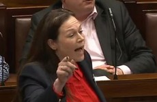 VIDEO: There was a HUGE row in the Dáil last night