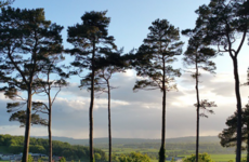 17 beautiful photos that would make you proud to be from Laois