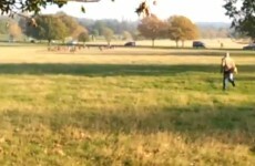 Video of man chasing after his dog goes viral and sparks YouTube spin-offs