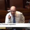 Healy-Rae says the people who gave the order to shoot cattle are 'a disgrace'