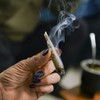 Weed makes you less likely to feel rewards