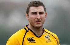 Wasps snap up Leinster lock O'Donoghue