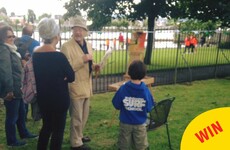 This famous Limerick artist sold his painting to a local kid for €10 just to be sound