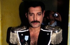 Remembering Freddie, 20 years on
