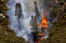 US federal government sues man for $25 million over massive wildfire