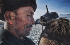 All of these amazing photos were taken on an iPhone