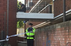 Man (20s) stabbed to death in Dublin