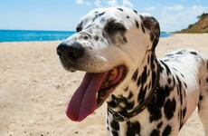 It might be great weather outside, but there are a few things to worry about