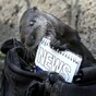 It's Friday so here's a slideshow of otters from around the world