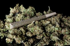 'Ireland is behind the times': Should cannabis be legalised for medical use?