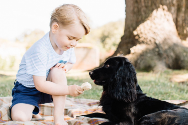 Rspca Forced Into Warning After Britain S Prince George Offers Ice Cream To Family Dog