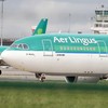 Aer Lingus flight from Frankfurt to Dublin delayed overnight due to thunderstorm
