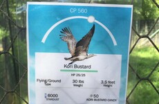 This zoo has put up adorable Pokemon Go-inspired signs for its animals