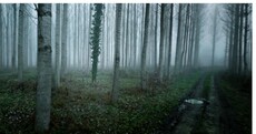 In pictures: The world’s loneliest places* – captured on Google Street View