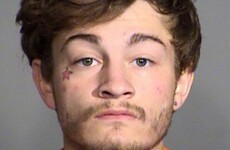 Death penalty sought against man who killed three people after watching The Purge