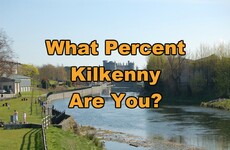 What Percent Kilkenny Are You?