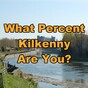 What Percent Kilkenny Are You?