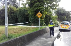Gardaí appeal for witnesses after alleged sexual assault in early hours of morning