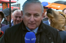 This messer was caught horsing around behind an RTÉ report from the Galway Races