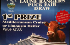 This Kerry GAA club's puck fair draw poses the ultimate dilemma