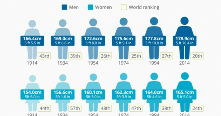 Irish teenagers are getting taller and heavier