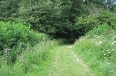 Don't forget there's a ban on hedge cutting - and you could be prosecuted for it