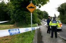 Two men arrested over serious sexual assault in Clondalkin have been released