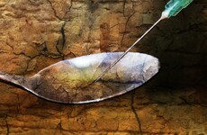 Elephant sedative emerges as new threat in US overdose battle