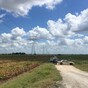 As many as 16 dead after Texas hot air balloon crash