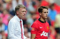 David Moyes confirms interest in United pair Januzaj and Fellaini