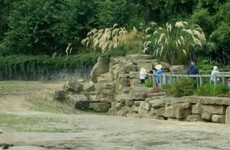 Dublin Zoo examining incident where boy was seen inside rhino enclosure