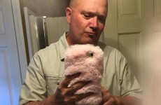 A girl gave her Dad her fluffy pink phone case, and he took the most Dad selfies ever