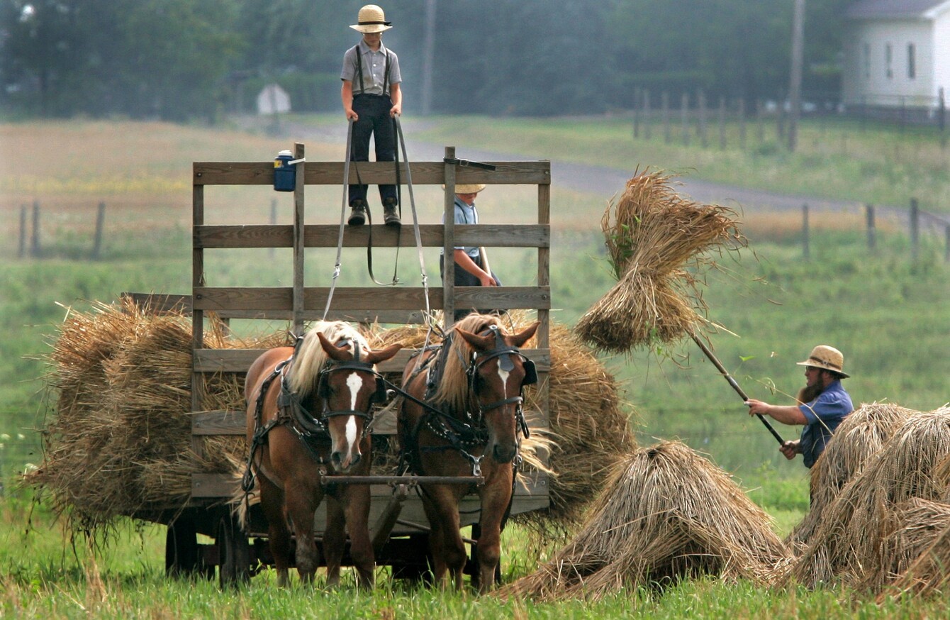 Kids on Amish farms are less likely to get asthma - a new study ...