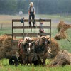 Kids on Amish farms are less likely to get asthma - a new study explains why