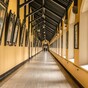 Trainee priest at Maynooth describes atmosphere at college as "poisonous"