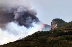 Man who defecated in the woods causes deadly forest fire after he lights toilet paper