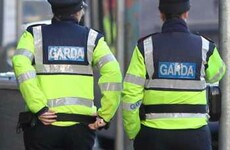 Stolen car with guns and ammunition discovered in Dublin