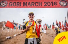 A stray dog followed a runner for half a desert marathon, and now she's getting adopted