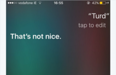 15 times Siri hated Irish people