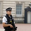 Man arrested after climbing over fence at Buckingham Palace 'had been drinking'